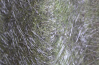 Yedingham fibreglass roof work